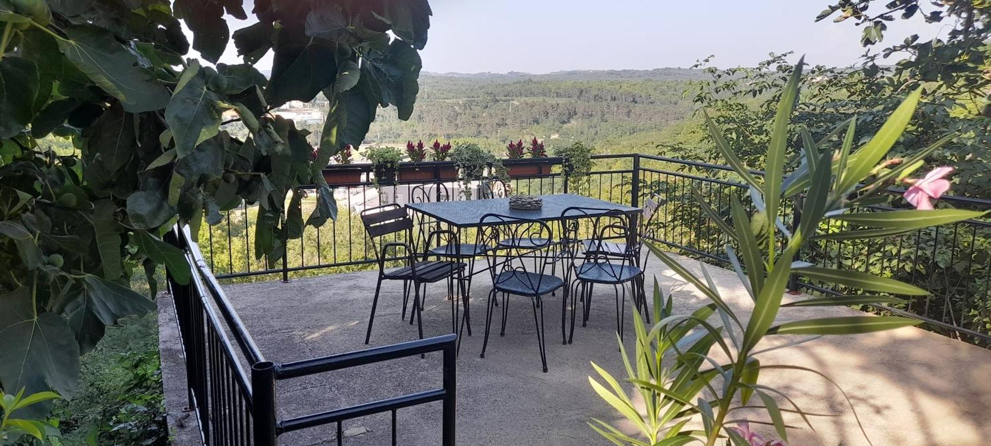 Hortensia Buje Dış mekan fotoğraf