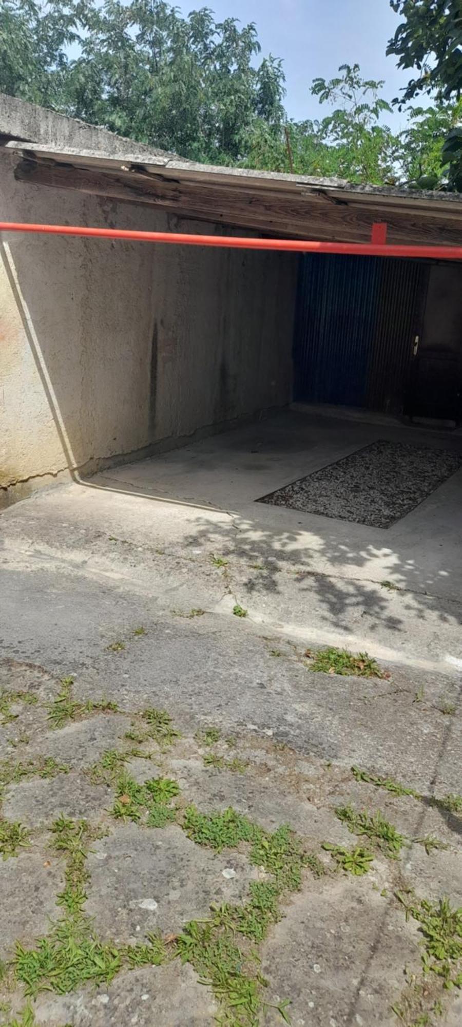 Hortensia Buje Dış mekan fotoğraf