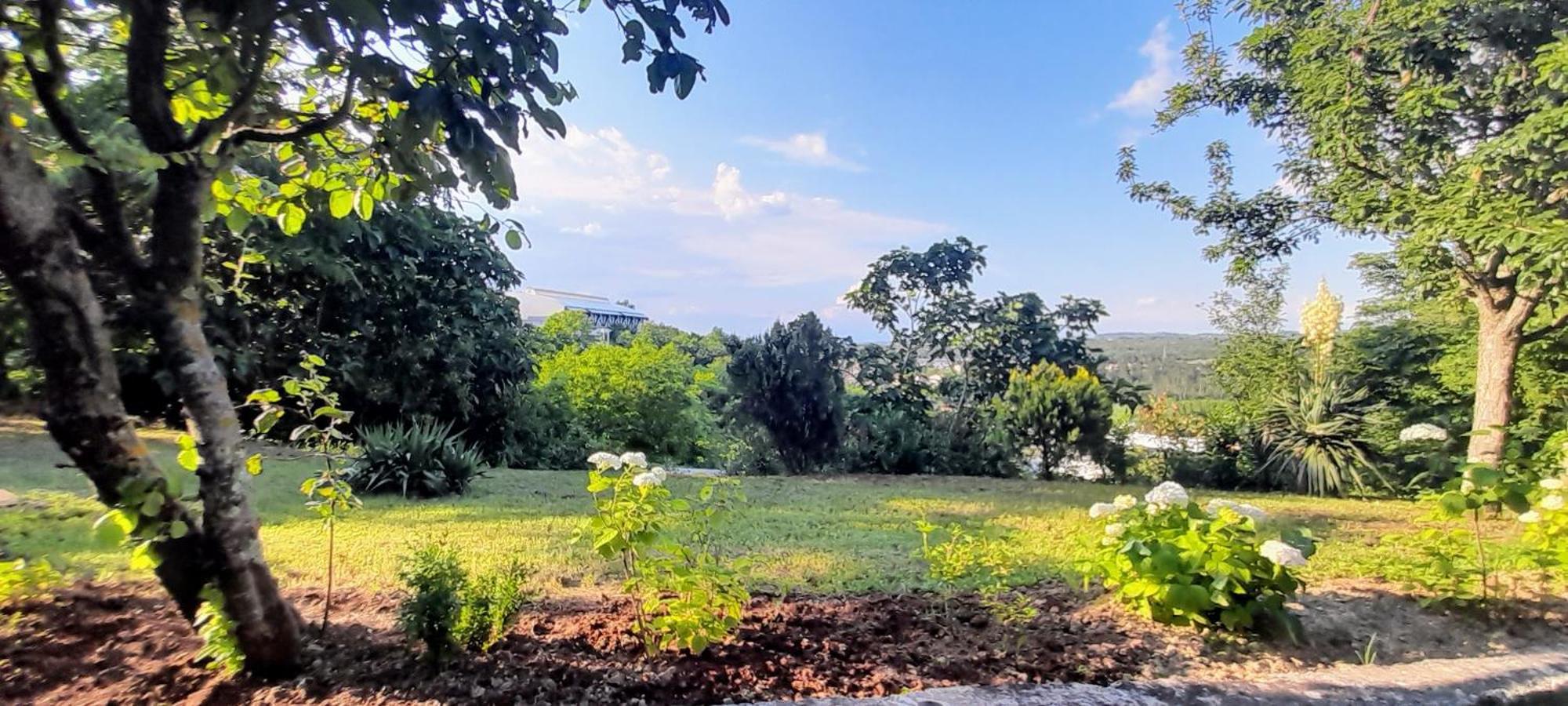 Hortensia Buje Dış mekan fotoğraf